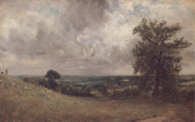 John Constable West End Fields,Hanpstend,noon oil painting image